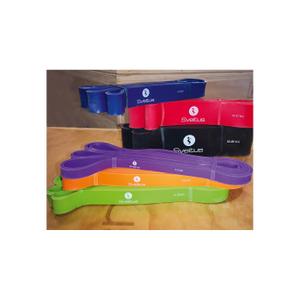 product/s/v/sveltus_0574_5.jpg