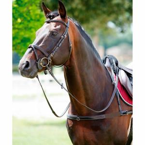 1188099-04-collier-de-chasse-pour-cheval-elastique-avec-col-amovible-tattini-marron
