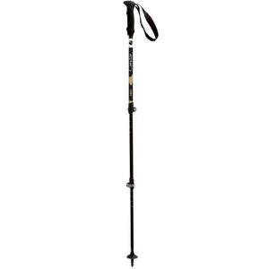 product/t/s/tsl_pfbcoa3ltcor_black-gold_1.jpg