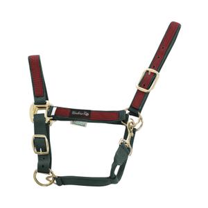 ca00021-green-burgundy-licol-pour-cheval-en-nylon-colore-umbria-equitazione-ca00021-green-burgundy