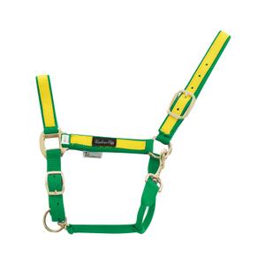 ca00021-green-yellow-licol-pour-cheval-en-nylon-colore-umbria-equitazione-ca00021-green-yellow