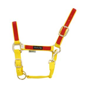 ca00021-yellow-red-licol-pour-cheval-en-nylon-colore-umbria-equitazione-ca00021-yellow-red