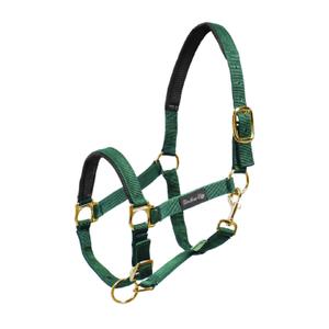 product/u/m/umbria-equitazione_ca00022-green_ca00022-green_1.jpg