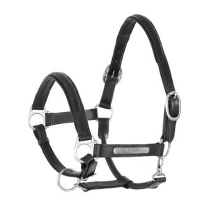 ca00061-black-licol-pour-cheval-double-cuir-avec-boucles-en-laiton-umbria-equitazione-black