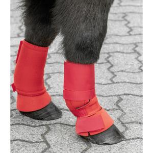 14550025-105-protege-boulets-pour-cheval-fermeture-par-ruban-adhesif-usg-shetty-red-tu