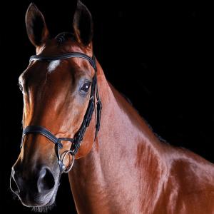 816078-818443-bridons-equitation-d-entrainement-pour-cheval-weatherbeeta-collegiate-comfitec-black