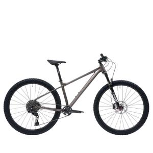 rambler-17-gris-velo-tout-terrain-welt-rambler-gris