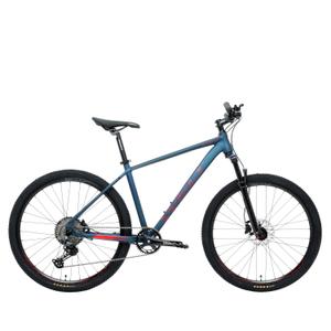 ranger-3-0-29-18-velo-tout-terrain-welt-ranger-3-0-29-bleu