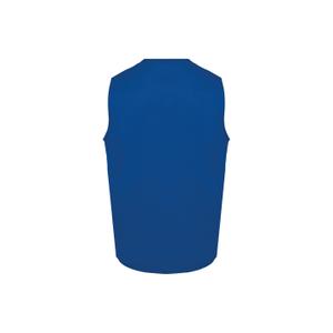 product/w/k/wk-designed-to-work_wk608-royalblue_2.jpg
